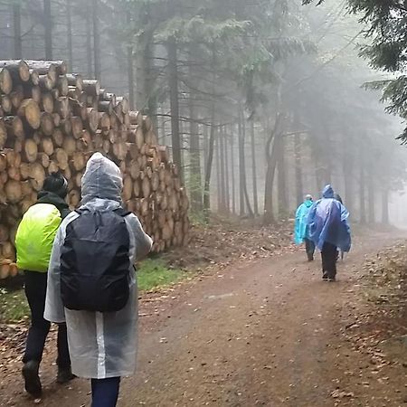 Urlaubsdomizil Am Toepfer - Ferienwohnungen In Olbersdorf Exteriör bild