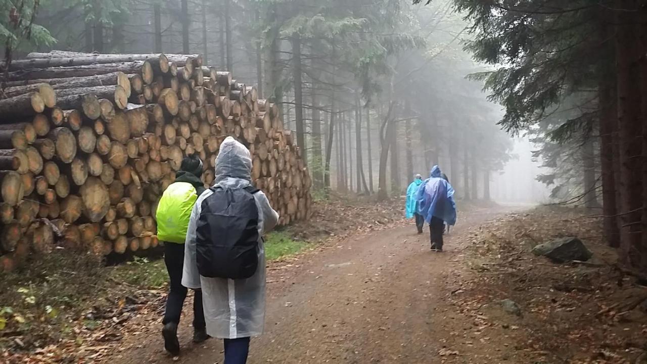 Urlaubsdomizil Am Toepfer - Ferienwohnungen In Olbersdorf Exteriör bild