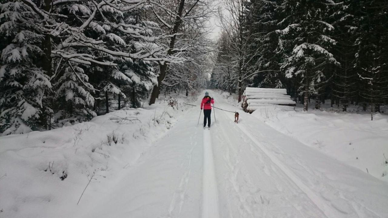 Urlaubsdomizil Am Toepfer - Ferienwohnungen In Olbersdorf Exteriör bild