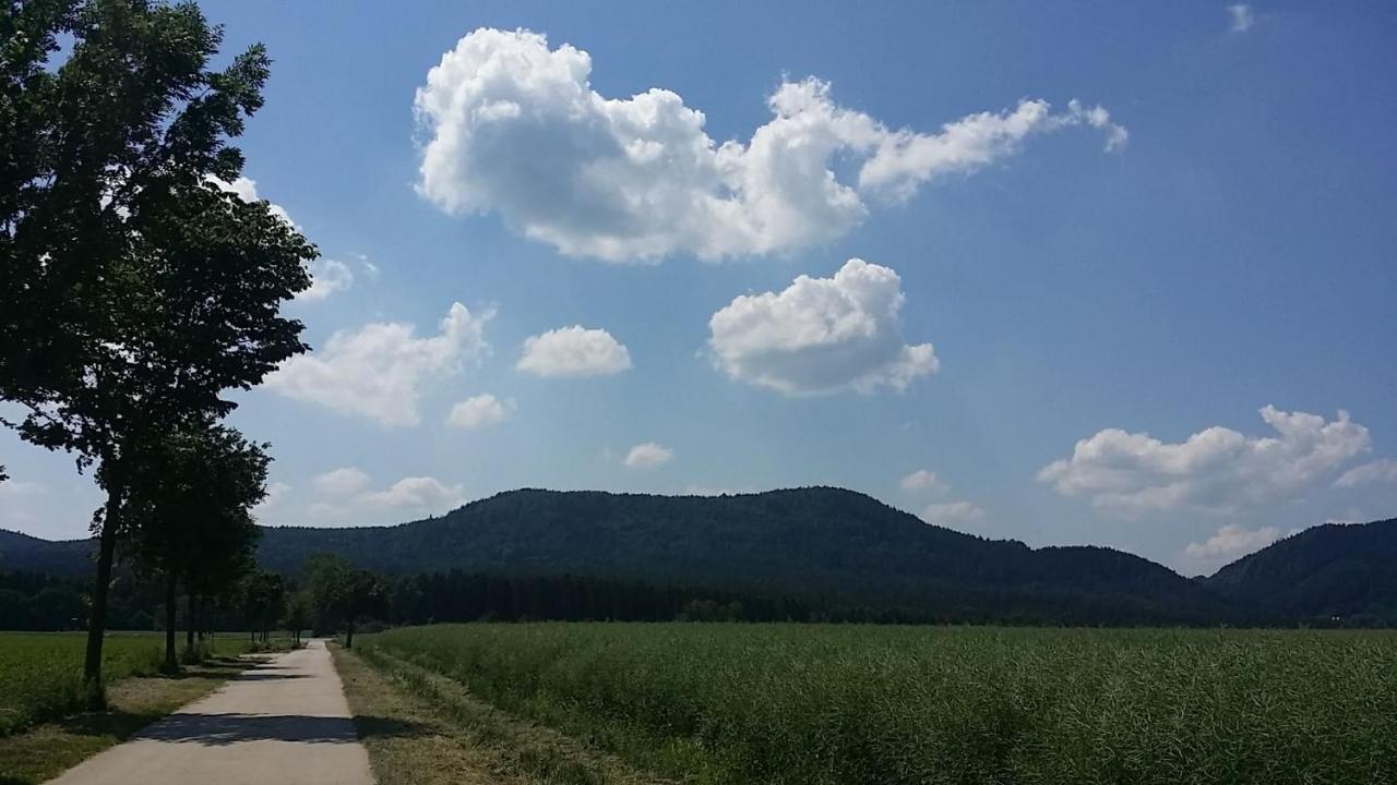 Urlaubsdomizil Am Toepfer - Ferienwohnungen In Olbersdorf Exteriör bild
