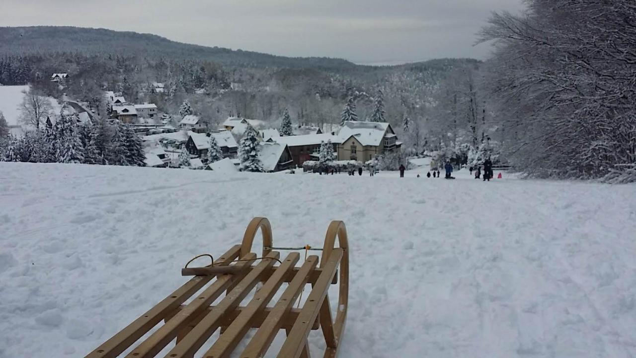 Urlaubsdomizil Am Toepfer - Ferienwohnungen In Olbersdorf Exteriör bild