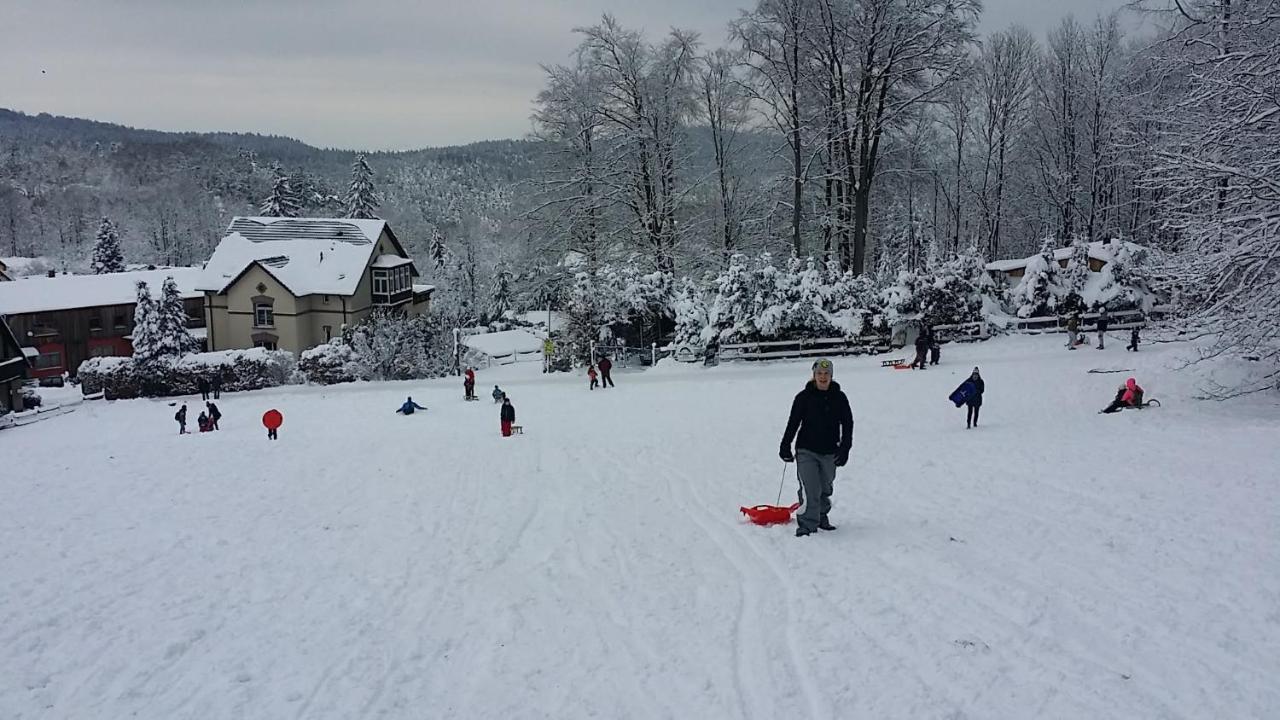 Urlaubsdomizil Am Toepfer - Ferienwohnungen In Olbersdorf Exteriör bild