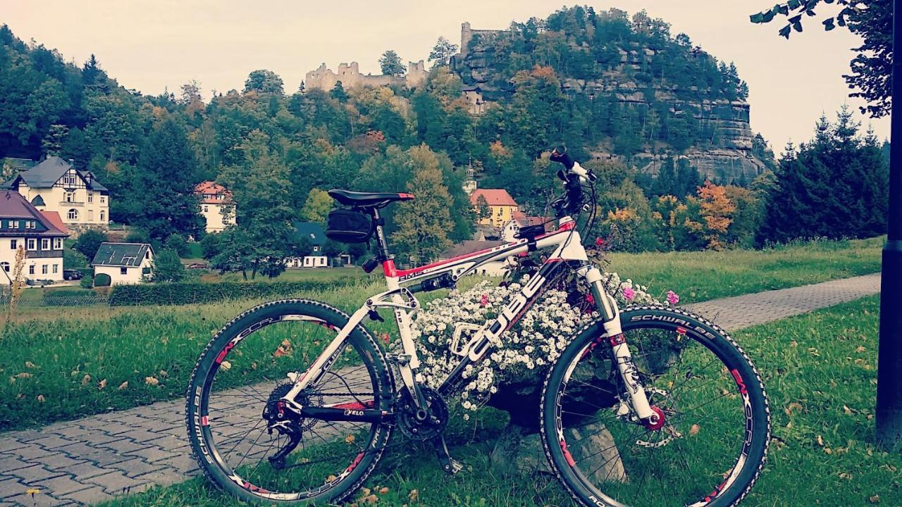 Urlaubsdomizil Am Toepfer - Ferienwohnungen In Olbersdorf Exteriör bild